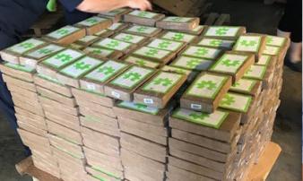 Mỹ: Mở thùng chuối, phát hiện 18 triệu USD cocaine Mỹ: Mở thùng chuối, phát hiện 18 triệu USD cocaine