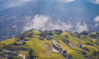 Ngỡ ngàng vẻ đẹp ruộng bậc thang Hoàng Su Phì mùa lúa chín Ngỡ ngàng vẻ đẹp ruộng bậc thang Hoàng Su Phì mùa lúa chín