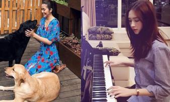 Cùng sống trong biệt thự 'dát vàng”, Tăng Thanh Hà lại ăn đứt Đặng Thu Thảo nhờ góc nhỏ này! Cùng sống trong biệt thự 'dát vàng”, Tăng Thanh Hà lại ăn đứt Đặng Thu Thảo nhờ góc nhỏ này!
