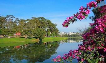 Hình ảnh Đà Lạt đẹp đến nao lòng trong sáng sớm giao mùa khiến ai cũng muốn xách balo lên và đi ngay Hình ảnh Đà Lạt đẹp đến nao lòng trong sáng sớm giao mùa khiến ai cũng muốn xách balo lên và đi ngay