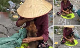 Sự thật không ai ngờ về câu chuyện bà lão bán 'Cậu Vàng' lấy tiền chữa bệnh xôn xao MXH Sự thật không ai ngờ về câu chuyện bà lão bán 'Cậu Vàng' lấy tiền chữa bệnh xôn xao MXH