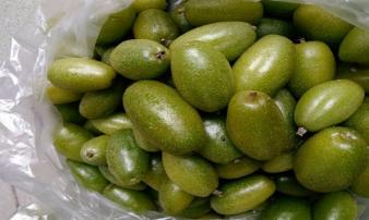 Loại quả xin được ở quê, người Hà thành vẫn phải mua giá cao hơn thịt bò Loại quả xin được ở quê, người Hà thành vẫn phải mua giá cao hơn thịt bò