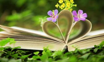 Tử vi thứ 4 ngày 12/12/2018 của 12 cung hoàng đạo mới nhất, chuẩn nhất Tử vi thứ 4 ngày 12/12/2018 của 12 cung hoàng đạo mới nhất, chuẩn nhất