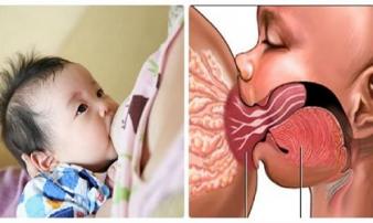 Cho con bú vào thời điểm này có thể khiến trẻ tử vong mẹ cần tránh ngay kẻo hối hận không kịp Cho con bú vào thời điểm này có thể khiến trẻ tử vong mẹ cần tránh ngay kẻo hối hận không kịp