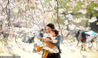 5 nguyên tắc vàng của người Nhật dạy con thông minh, kỷ luật từ nhỏ 5 nguyên tắc vàng của người Nhật dạy con thông minh, kỷ luật từ nhỏ