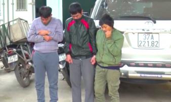 Lái cả ô tô đi trộm chó, bắt trộm hàng chục con mỗi đêm Lái cả ô tô đi trộm chó, bắt trộm hàng chục con mỗi đêm