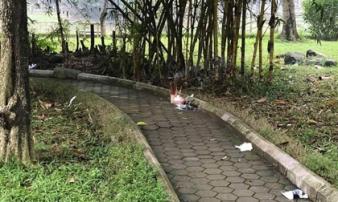 Cô gái chết bí ẩn ở vườn hoa Hà Đông làm gì trước buổi tối định mệnh? Cô gái chết bí ẩn ở vườn hoa Hà Đông làm gì trước buổi tối định mệnh?