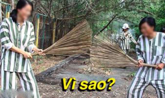 Tại sao quần áo của tù nhân lại kẻ sọc đen trắng, 99% người đều chưa biết lý do thực sự Tại sao quần áo của tù nhân lại kẻ sọc đen trắng, 99% người đều chưa biết lý do thực sự