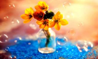 Tử vi thứ hai ngày 21/1/2019 của 12 cung hoàng đạo mới nhất, chuẩn nhất Tử vi thứ hai ngày 21/1/2019 của 12 cung hoàng đạo mới nhất, chuẩn nhất