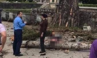 Vụ cành cây rơi trúng người gây tử vong ở Hà Giang: Ai phải chịu trách nhiệm bồi thường? Vụ cành cây rơi trúng người gây tử vong ở Hà Giang: Ai phải chịu trách nhiệm bồi thường?