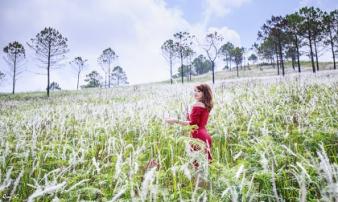 Tử vi thứ năm ngày 21/2/2019 của 12 cung hoàng đạo mới và chuẩn nhất Tử vi thứ năm ngày 21/2/2019 của 12 cung hoàng đạo mới và chuẩn nhất