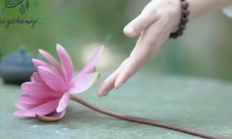 Sống ở đời đừng quá đặt nặng mọi thứ, cho được cứ cho, buông được cứ buông Sống ở đời đừng quá đặt nặng mọi thứ, cho được cứ cho, buông được cứ buông