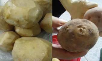 Hiệu trưởng bị phản ánh cho học sinh ăn sắn mốc, khoai tây mọc mầm Hiệu trưởng bị phản ánh cho học sinh ăn sắn mốc, khoai tây mọc mầm