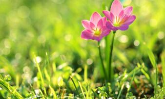 Tử vi thứ bảy ngày 16/3/2019 của 12 cung hoàng đạo mới nhất, chuẩn nhất Tử vi thứ bảy ngày 16/3/2019 của 12 cung hoàng đạo mới nhất, chuẩn nhất