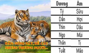 Soi luật âm dương hiểu hết 100% bản chất con người 12 con giáp, chuẩn xác bất ngờ Soi luật âm dương hiểu hết 100% bản chất con người 12 con giáp, chuẩn xác bất ngờ