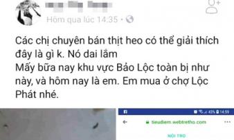 Tung tin nhiễm sán heo, một phụ nữ bị phạt 10 triệu đồng Tung tin nhiễm sán heo, một phụ nữ bị phạt 10 triệu đồng
