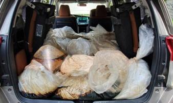 Nhiều điều chưa biết về đường dây vận chuyển 500kg ketamine Nhiều điều chưa biết về đường dây vận chuyển 500kg ketamine