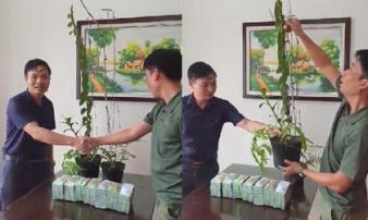 Tiết lộ của đại gia Hà Tĩnh ra Hải Phòng mua 2 chậu lan 3,5 tỷ Tiết lộ của đại gia Hà Tĩnh ra Hải Phòng mua 2 chậu lan 3,5 tỷ