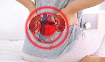 Cần bỏ gấp 6 thói xấu gây hại thận nhiều người Việt mắc phải Cần bỏ gấp 6 thói xấu gây hại thận nhiều người Việt mắc phải