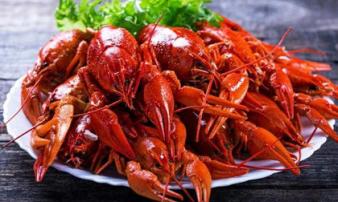 Món tôm hùm đất chị em đang tò mò khiến hai thanh niên nhập viện cấp cứu Món tôm hùm đất chị em đang tò mò khiến hai thanh niên nhập viện cấp cứu