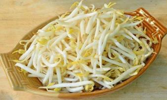 Những người tuyệt đối không ăn giá đỗ vì cực độc Những người tuyệt đối không ăn giá đỗ vì cực độc