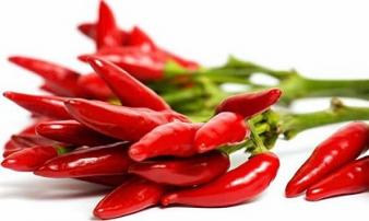 Những người tuyệt đối không ăn ớt vì cực độc Những người tuyệt đối không ăn ớt vì cực độc