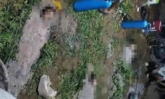 Tắm kênh, 3 chị em ruột ở Quảng Bình đuối nước thương tâm Tắm kênh, 3 chị em ruột ở Quảng Bình đuối nước thương tâm