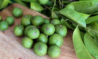 Những người đại kỵ tránh tuyệt đối không được ăn sấu Những người đại kỵ tránh tuyệt đối không được ăn sấu