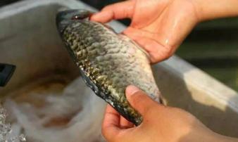 Đừng rửa những thực phẩm quen thuộc này chỉ bằng nước, nếu không càng rửa càng bẩn Đừng rửa những thực phẩm quen thuộc này chỉ bằng nước, nếu không càng rửa càng bẩn