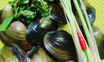 Những người đại kỵ với trai, hến, đừng ăn kẻo 'hối không kịp' Những người đại kỵ với trai, hến, đừng ăn kẻo 'hối không kịp'