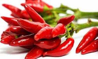 Những người này ăn ớt cực độc, có thể mất mạng Những người này ăn ớt cực độc, có thể mất mạng