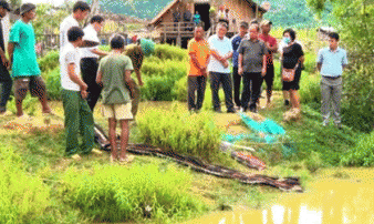 Khánh Hòa: 4 em nhỏ chết đuối thương tâm tại ao nước trước nhà Khánh Hòa: 4 em nhỏ chết đuối thương tâm tại ao nước trước nhà