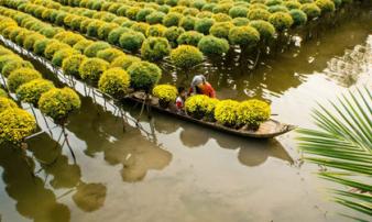 Sa Đéc, từ thủ phủ hoa đến trung tâm đô thị, du lịch trọng điểm của miền Tây Sa Đéc, từ thủ phủ hoa đến trung tâm đô thị, du lịch trọng điểm của miền Tây
