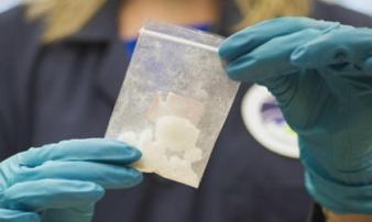 Mỹ thu giữ lượng fentanyl có thể giết 14 triệu người Mỹ thu giữ lượng fentanyl có thể giết 14 triệu người