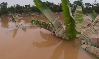 Người dân 'rốn lũ' Hà Tĩnh tất bất dọn dẹp sau khi nước rút: 'Khổ lắm, gà vịt trôi hết cả rồi' Người dân 'rốn lũ' Hà Tĩnh tất bất dọn dẹp sau khi nước rút: 'Khổ lắm, gà vịt trôi hết cả rồi'