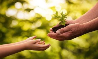 4 thói quen làm nên sự khác biệt giữa người giàu và người nghèo 4 thói quen làm nên sự khác biệt giữa người giàu và người nghèo