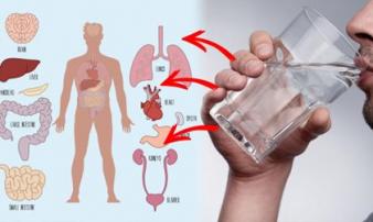 Uống 1 cốc nước ấm vào đúng giờ này “quý gấp trăm lần ăn nhân sâm thuốc bổ”, nhiều người vẫn cho qua Uống 1 cốc nước ấm vào đúng giờ này “quý gấp trăm lần ăn nhân sâm thuốc bổ”, nhiều người vẫn cho qua