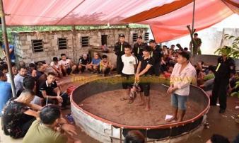 Đột kích ổ đá gà lớn, bắt 91 người, thu 5 ôtô và 67 xe máy Đột kích ổ đá gà lớn, bắt 91 người, thu 5 ôtô và 67 xe máy