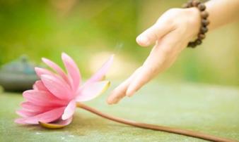 “Dùng hận thù diệt hận thù sẽ ân oán chất chồng, chỉ có buông xả lòng người được an nhiên” “Dùng hận thù diệt hận thù sẽ ân oán chất chồng, chỉ có buông xả lòng người được an nhiên”