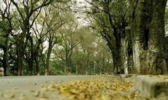 Cuối tuần miền Bắc có thể đón không khí lạnh Cuối tuần miền Bắc có thể đón không khí lạnh