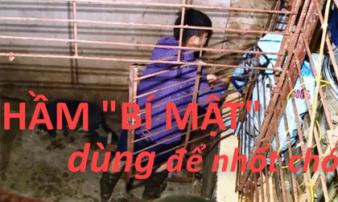 Băng nhóm trộm chó hơn 100 tấn đào cả hầm 'bí mật' để nhốt chó Băng nhóm trộm chó hơn 100 tấn đào cả hầm 'bí mật' để nhốt chó