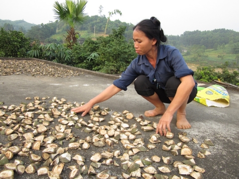 “Thần y” chân đất Bùi Thị Di