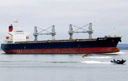 Giám đốc Vinalines Shipping nói về vụ chìm tàu