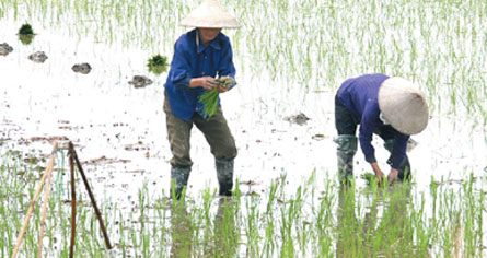 Ngày mai, miền Bắc lại chìm trong lạnh giá