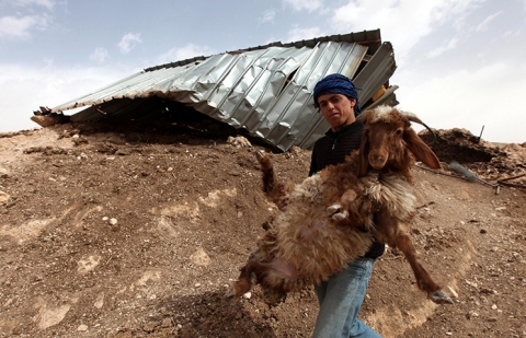 Một thành viên của gia đình người Palestin mang theo dê, sau khi ngôi nhà của họ bị máy ủi của Israel phá hủy tại Karmiel, Bờ Tây. 