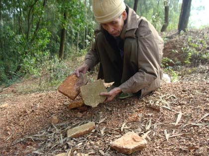 Những kho báu trong núi ở Hải Phòng là có thật