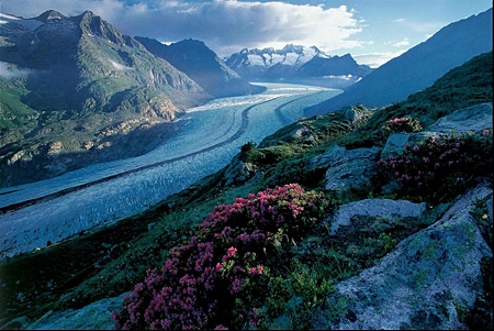 Sông băng Aletsch.