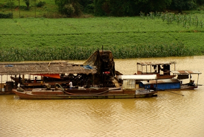 Chuyện ở Ba Vì: Cả làng mang giấc mộng đại gia