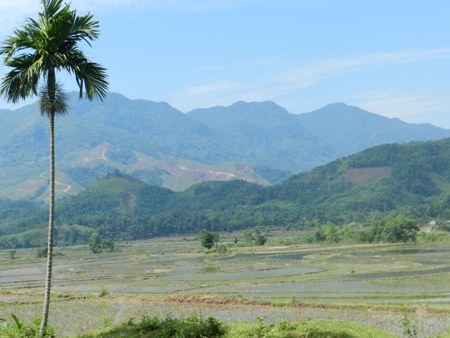 Chùm ảnh: Hoang vắng làng 'bệnh lạ' Quảng Ngãi