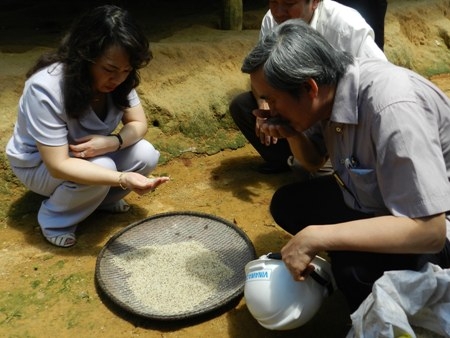 Chùm ảnh: Hoang vắng làng 'bệnh lạ' Quảng Ngãi